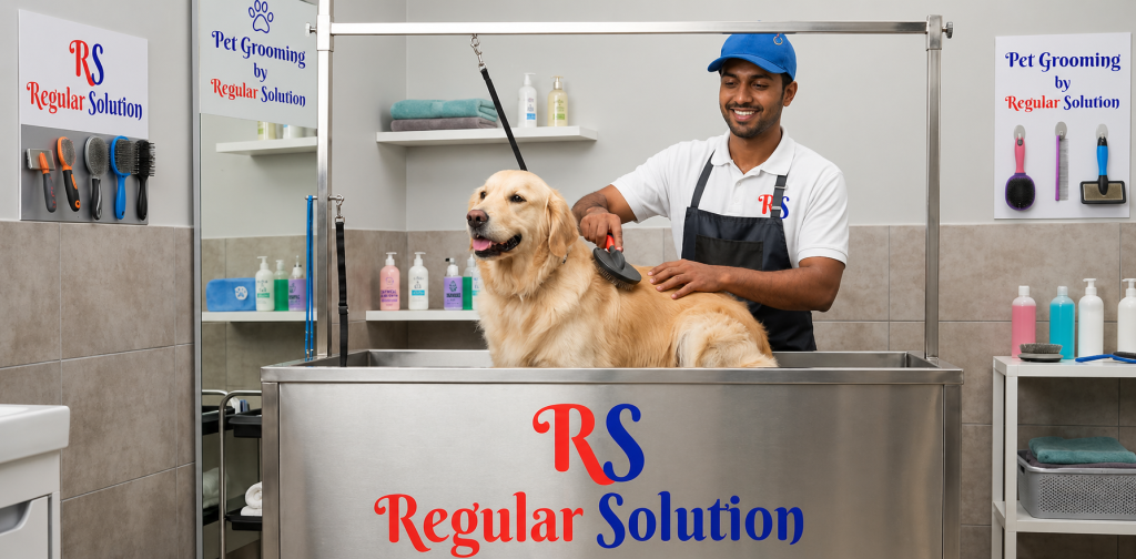 Pest Control Services
